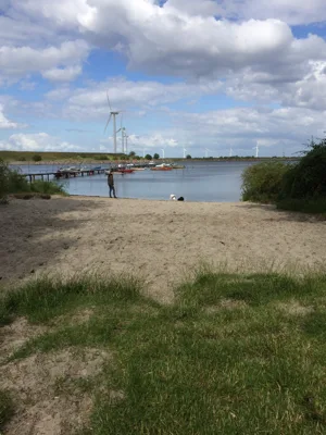 Fritløbsområde nord for Amager Strand billede 2