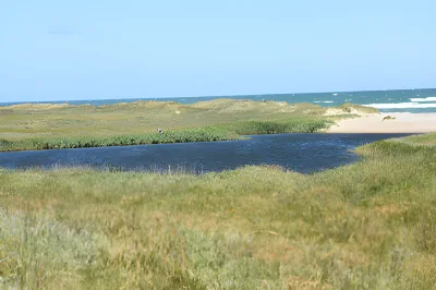 Vigsø Rallejer Hundestrand billede 2