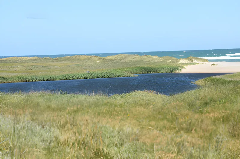 Vigsø Rallejer Hundestrand billede 2