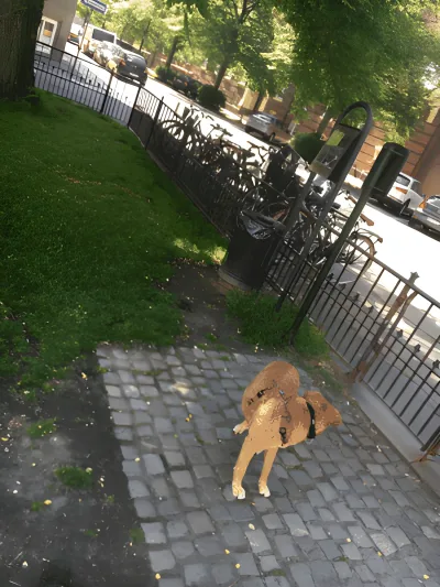 Hundeskov Trondhjems Plads fritløbsområde