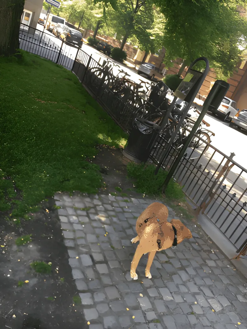 Trondhjems Plads fritløbsområde billede 1