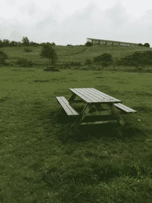 Hundeskov Hirtshals Hundepark