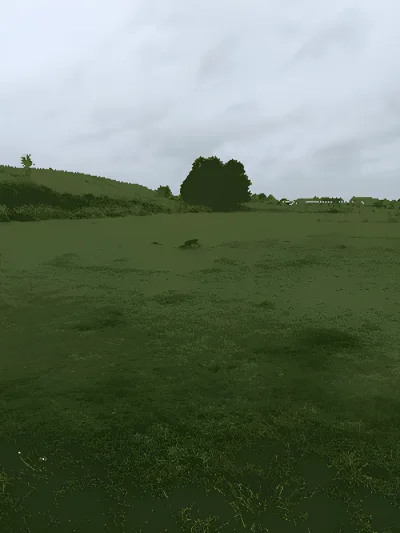 Hirtshals Hundepark billede 2