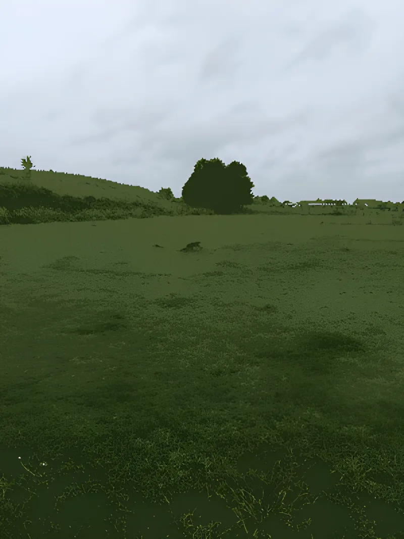 Hirtshals Hundepark billede 2