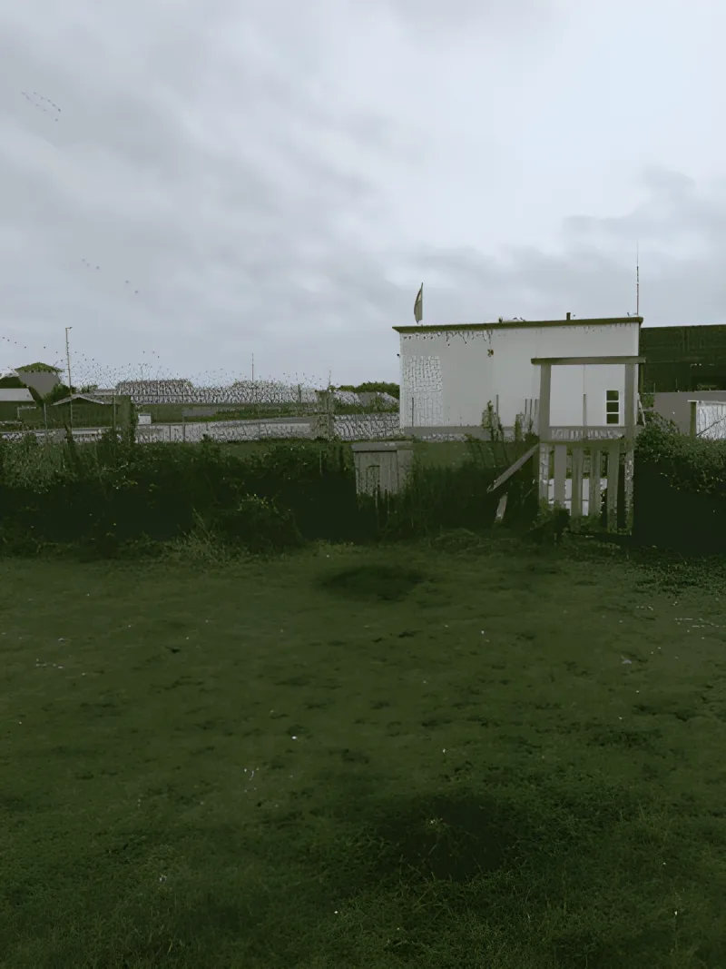 Hirtshals Hundepark billede 3
