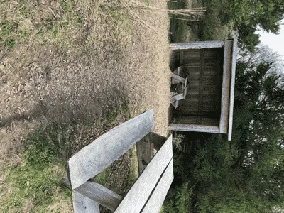 Spørring Hundeskov flere billeder