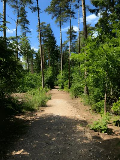 Hundeskov Nordskov Hundeskov Silkeborg