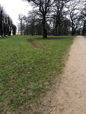 Søndermarken Frederiksberg billede 3
