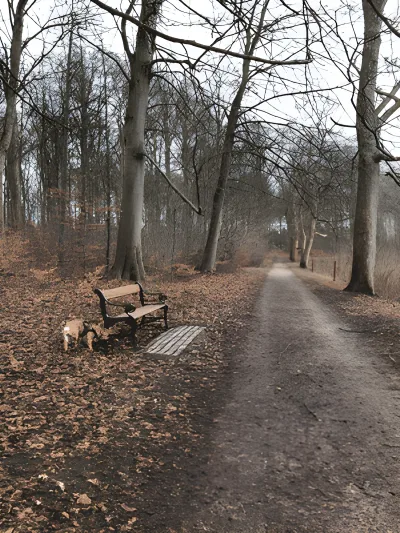 Hørsholm Slotshave billede 3