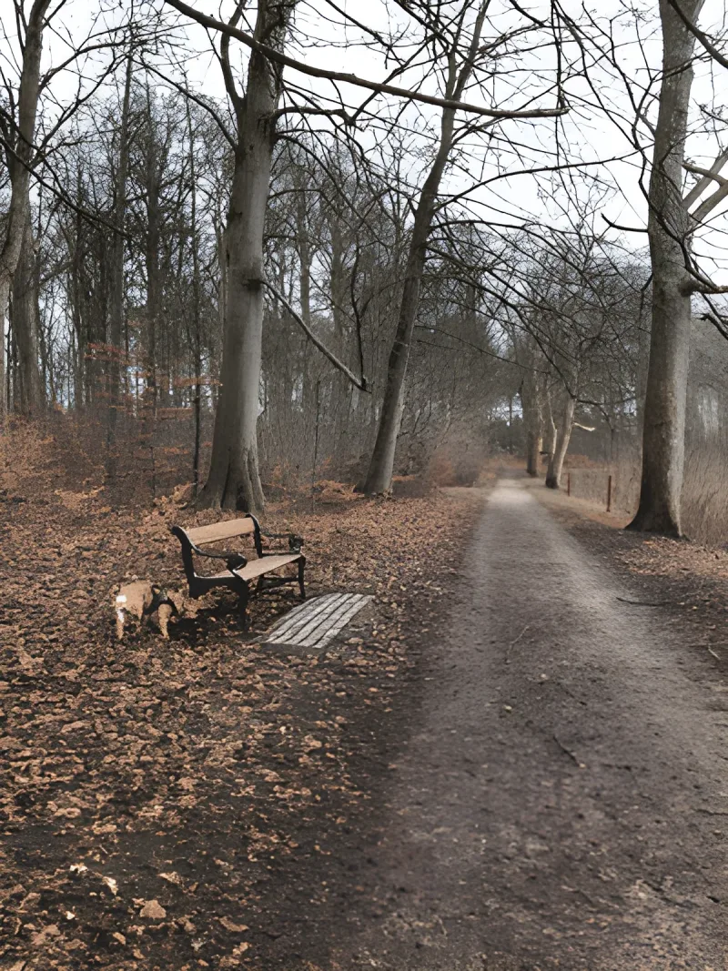 Hørsholm Slotshave billede 3
