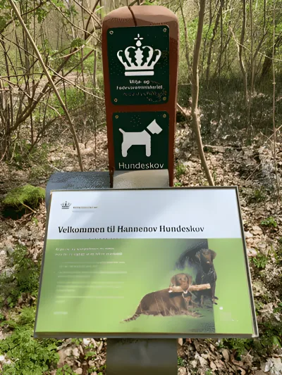 Hannenovskoven (hundeskov) billede 2