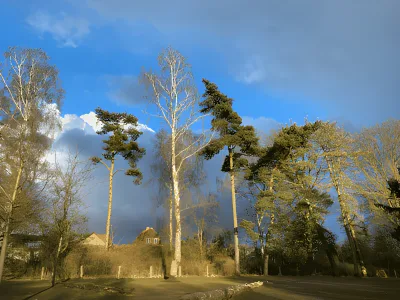 Hundeskov Dyssegårdsparken i Gentofte - Hundegård