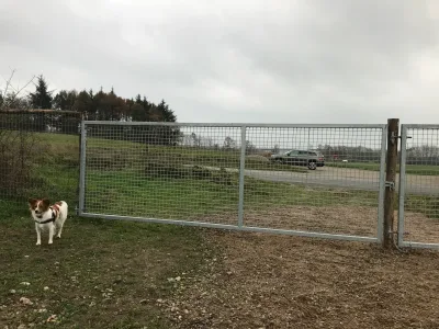 Kær Vestermark billede 3