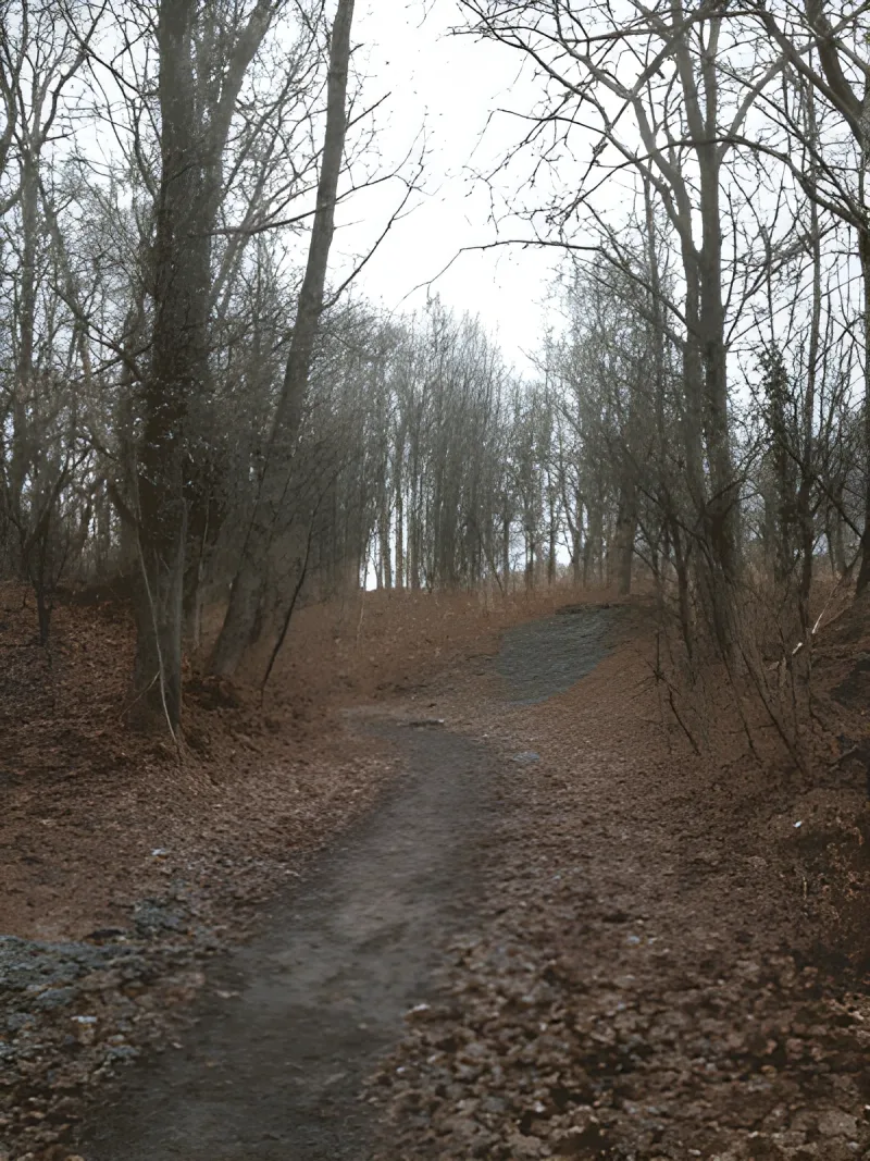 Kiskelund Plantage billede 3