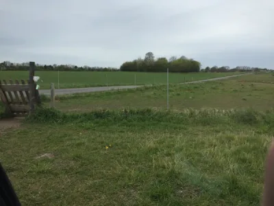 Hundeskov Nordskoven Slagelse Hundeskov