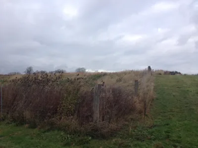 Kastanielunden hundeskov flere billeder
