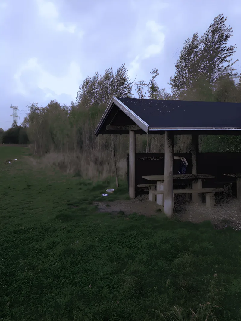 Bærmoseskov, Trige flere billeder