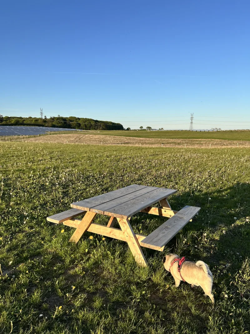 Viuf hundepark billede 2