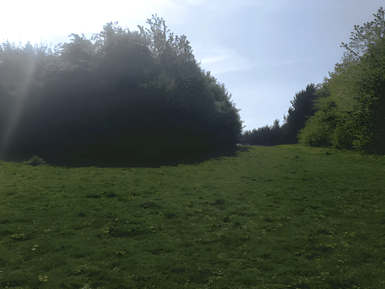 Himmelev Skov - Syd billede 1