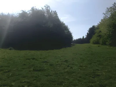 Hundeskov Himmelev Skov - Syd
