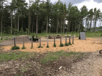 Hundeskov Bramming Vestskov hundeskov
