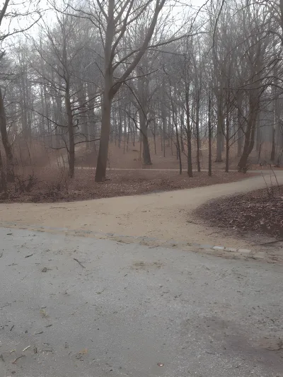 Sorgenfri Slotspark billede 2