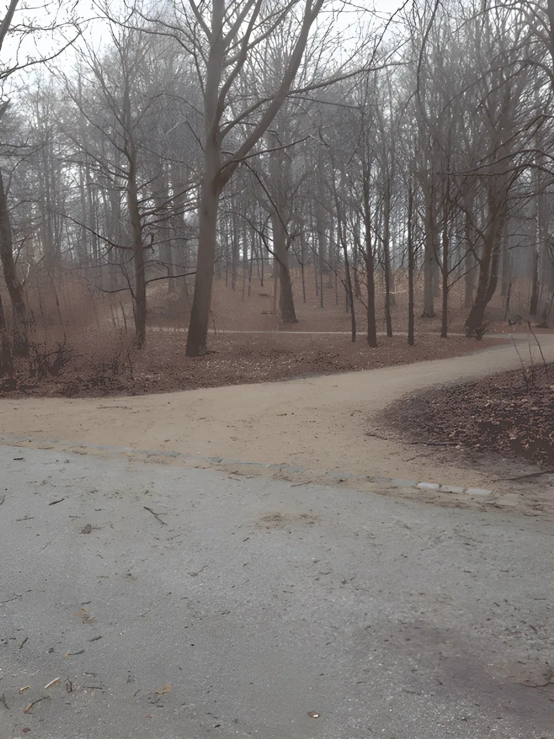 Sorgenfri Slotspark billede 2