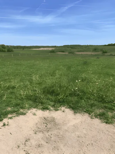 Flyvestation Værløse Hundefold (Syd) billede 4