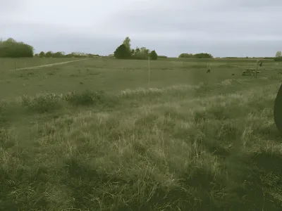Nordskoven Slagelse Hundeskov billede 2