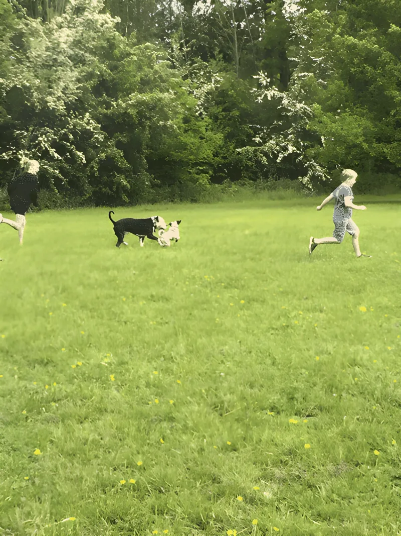 Bygholm Park billede 2
