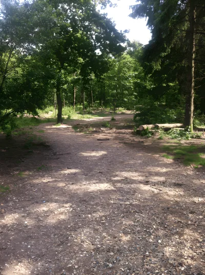 Skive Plantage billede 3