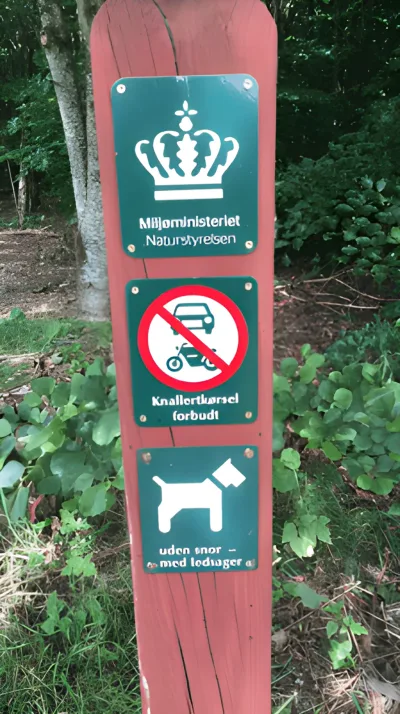 Soldaterskov Hundeskov billede 3