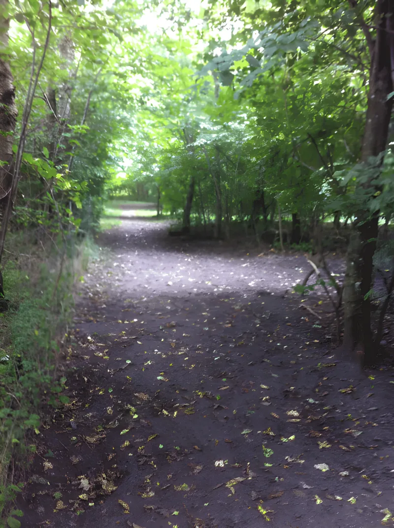 Grenaa Hundeskove billede 2