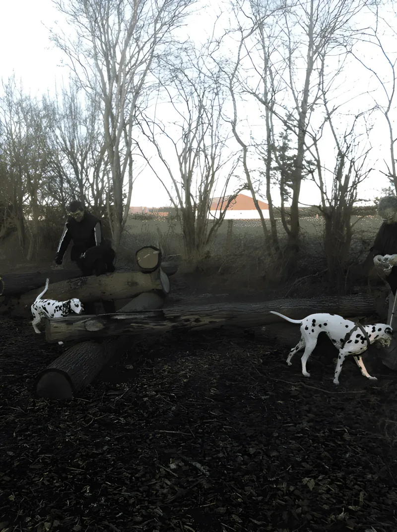 Sludstrup hundepark billede 1