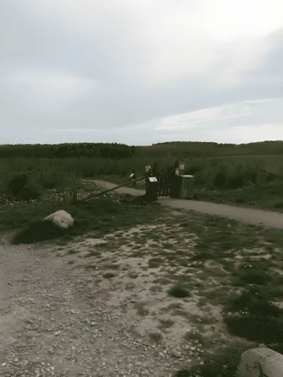 Rønnebæk Hundeskov (Øst) billede 2