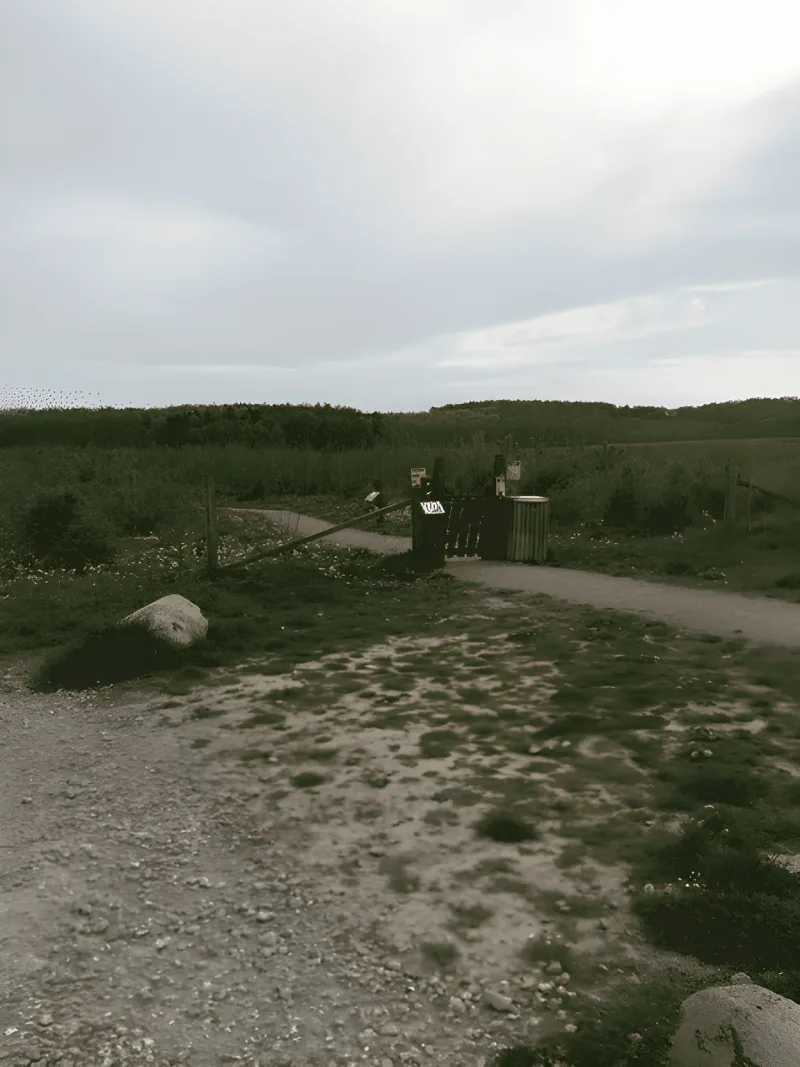 Rønnebæk Hundeskov (Øst) billede 2