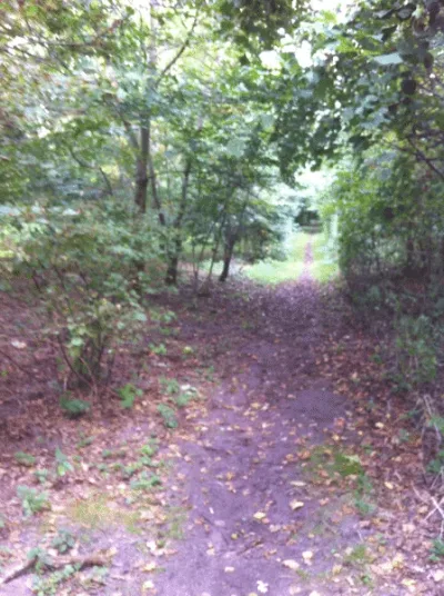 Grenaa Hundeskove flere billeder