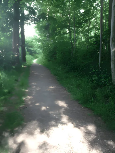 Årslev Skov flere billeder