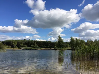 Hedeland flere billeder