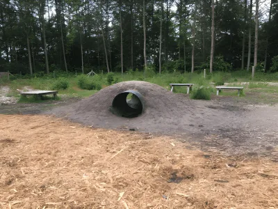 Bramming Vestskov hundeskov billede 2