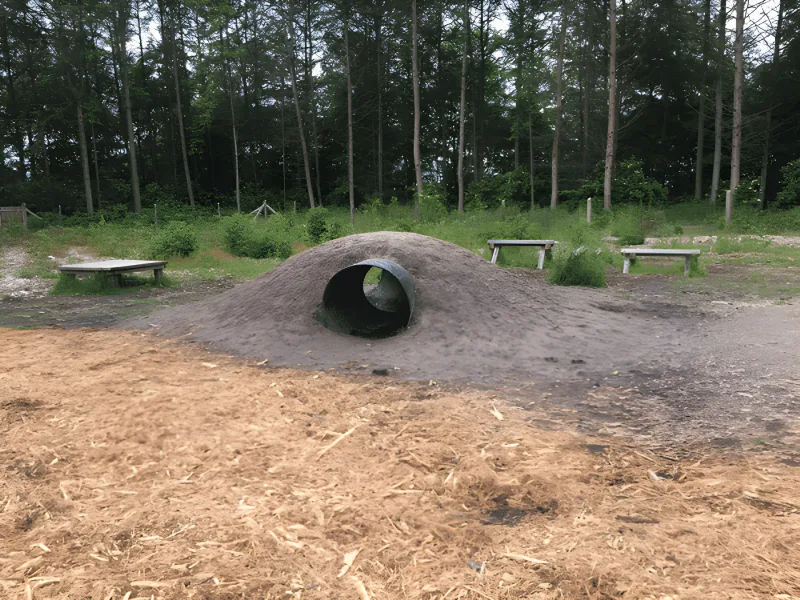 Bramming Vestskov hundeskov billede 2