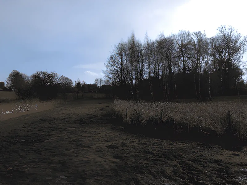 Skullerodsholm (Nørre Lyndelse) Hundeskov billede 2