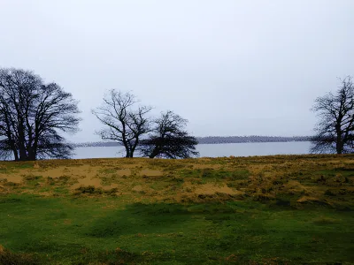 Hundeskov Pibersletten