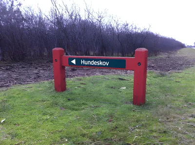Hundeskov ved Nørre Nebel billede 3