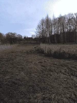 Hundeskov Skullerodsholm (Nørre Lyndelse) Hundeskov