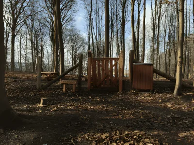 Hundeskov Nørreskoven i Vejle