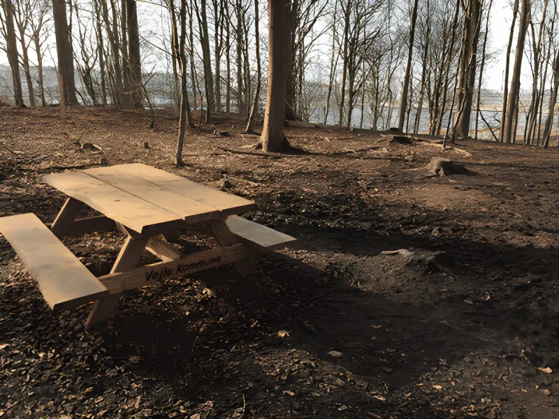 Nørreskoven i Vejle billede 2