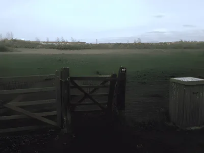 Hundeskov Ballerup løbegård