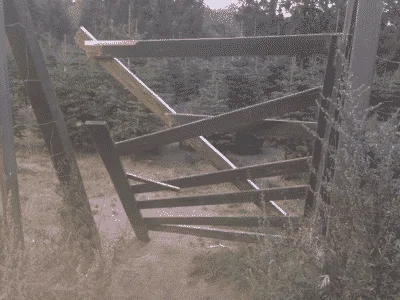 Sømosen Hundeskov (Dronninglund Storskov) flere billeder