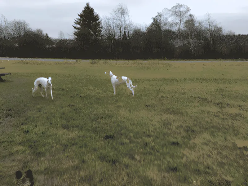 Høng Skov billede 4